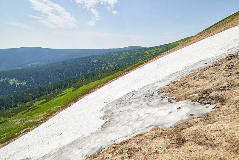 Krkonošská příroda, nafocená 1. července 2019.