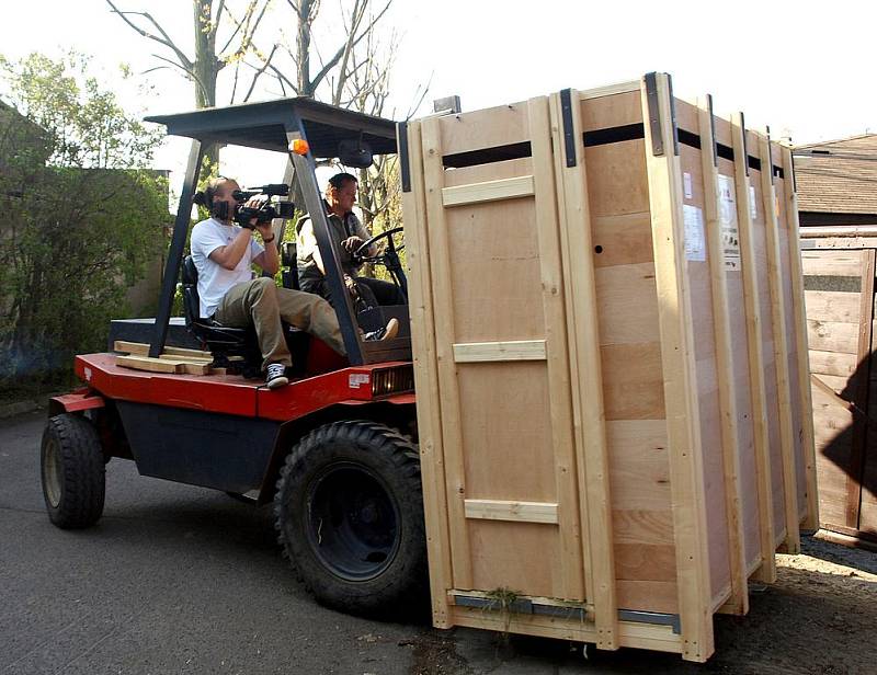 Transport antilop ze zoo Dvůr Králové do Rijádu