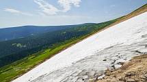 Krkonošská příroda, nafocená 1. července 2019.