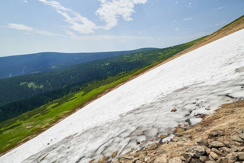 Krkonošská příroda, nafocená 1. července 2019.