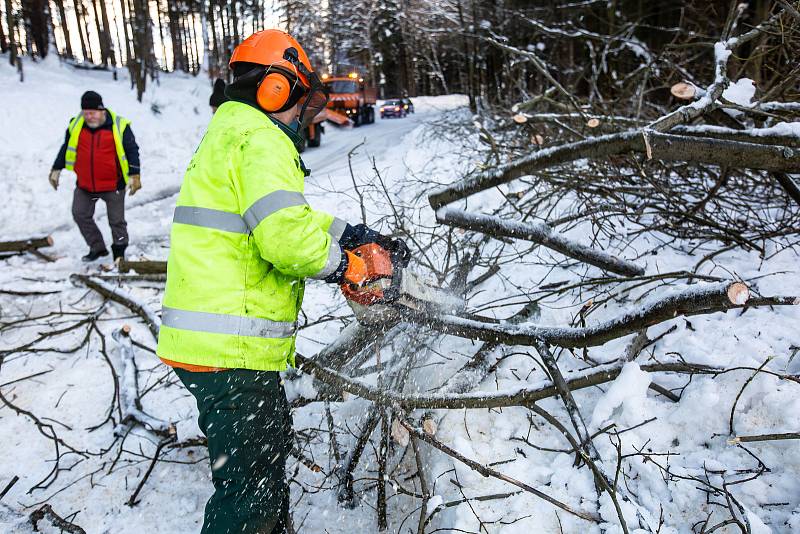 Vítr a těžký sníh koplikuje dopravu a život na horách. Popadané stromy uzavřely v pondělí cestu mezi Hoffmanovými boudami a Černým Dolem v Krkonoších