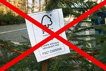 Správa KRNAP nebude letos prodávat vánoční stromky z národního parku.