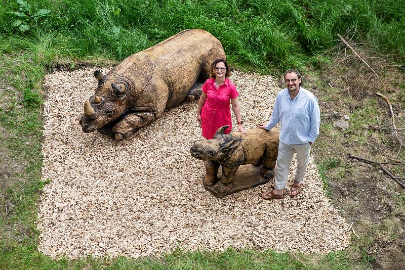 Na Stezce korunami stromů Krkonoše v Janských Lázních byly v úterý instalovány dvě sochy nosorožců od dřevosochaře Martina Kučery z Nového Bydžova.