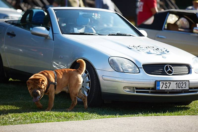 Kateřinu ovládly Mercedesy