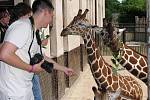 V královédvorské zoologické zahradě se uskutečnil fotografický workshop Fotosafari. Účastníci se pod vedením fotografa Jana Svatoše učili fotografovat zvířata.