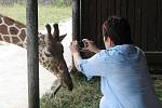 V královédvorské zoologické zahradě se uskutečnil fotografický workshop Fotosafari. Účastníci se pod vedením fotografa Jana Svatoše učili fotografovat zvířata.