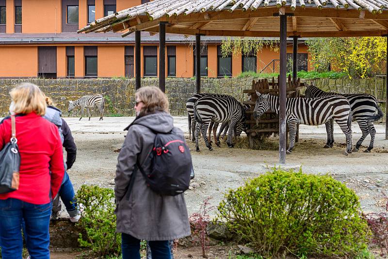 V sobotu dorazilo do Safari Parku Dvůr Králové 3374 lidí.