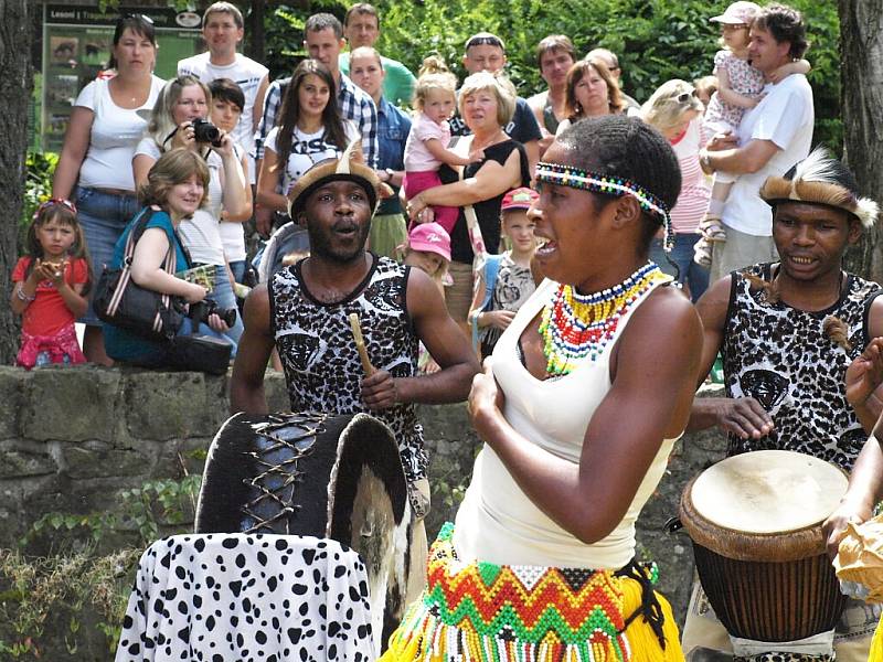 Skupina Iyasa ze Zimbabwe z zoo Dvůr Králové