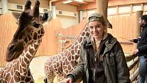 Hlavní role v seriálu ZOO patří osmnáctileté herečce Michaele Pecháčkové, v březnu natáčela také v pavilonu žiraf.