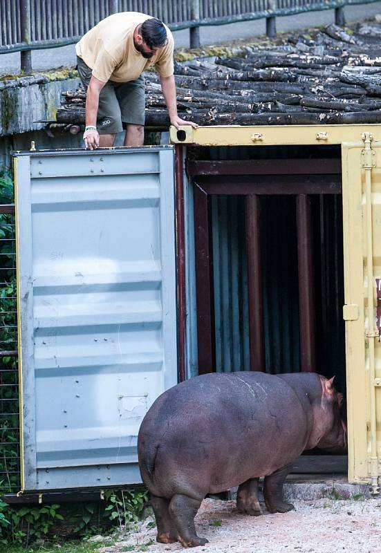 Hula a Mona mají hrošího parťáka z Německa