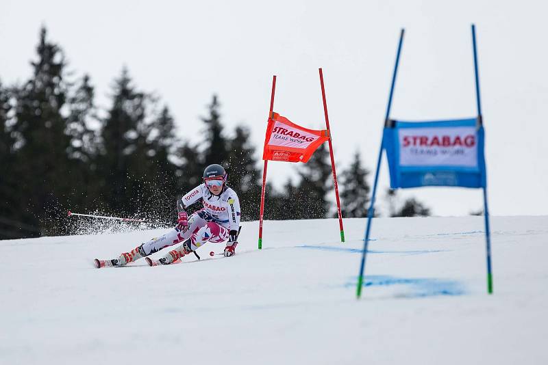 Kateřina Paulathová. Světový pohár v lyžování ve Špindlerově Mlýně