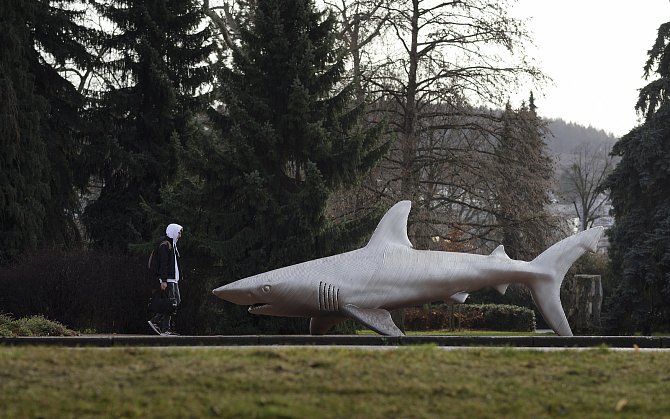 Socha Michala Gabriela Ocelový žralok získala hlavní cenu na festivalu Nord Art v Německu. Loni byla vystavená před zámkem ve Zlíně, od června je na dostihovém závodišti v pražské Chuchli.