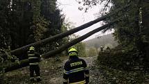 Během 24 hodin špindlerovští hasiči odklidili nebo zlikvidovali ve Špindlerově Mlýně a okolí 29 stromů.