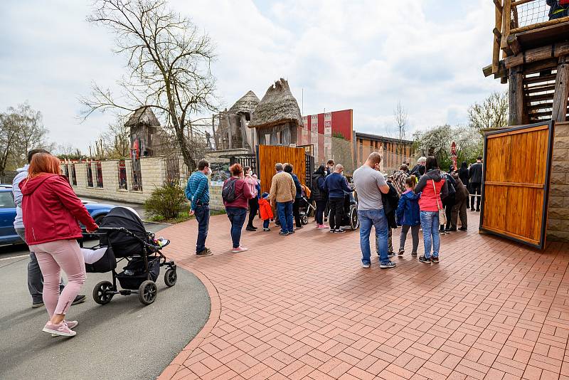 V sobotu dorazilo do Safari Parku Dvůr Králové 3374 lidí.