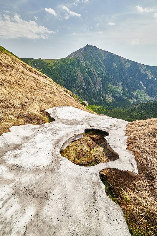 Krkonošská příroda, nafocená 1. července 2019.