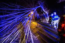 Tento týden ve středu řešily hasičské jednotky na Trutnovsku dvacet případů kvůli silnému větru, nejčastěji odstraňovali popadané stromy. V neděli a pondělí budou ve zvýšené pohotovosti.