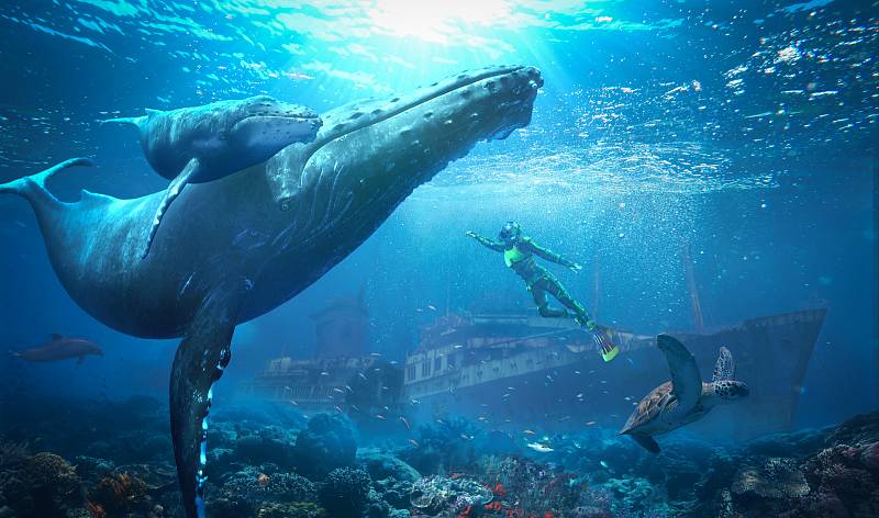 Ze sjezdovky rovnou do oceánu. Vodní virtuální realita zavede návštěvníky aquaparku do působivého prostředí podmořského světa. Ilustrační snímek.