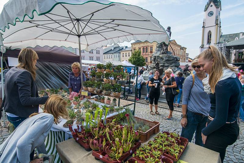 Trutnovský jarmark 2018.