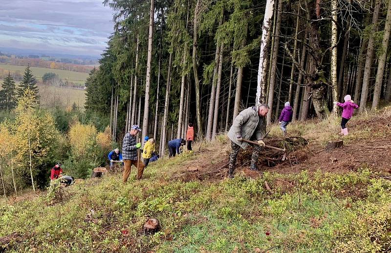 Dobrovolníci zasadili sazenice dubů v lokalitě Houska při akci 1000 stromů pro Trutnov.