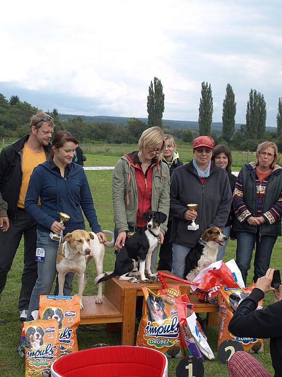 Podzvičinský Voříšek 2010 na Novém světě, Dvůr Králové