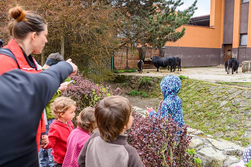 V sobotu dorazilo do Safari Parku Dvůr Králové 3374 lidí.