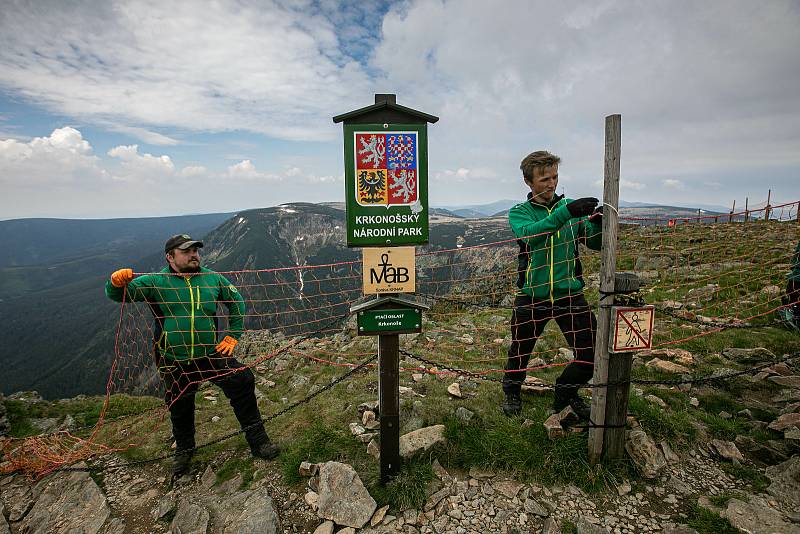 Správa KRNAP instalovala v pátek na Sněžce ochranné sítě.