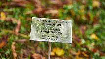 V pátek byla v Trutnově v městském parku otevřena Rýbrcoulova naučná stezka.