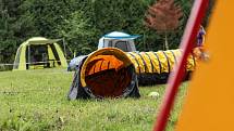 Závody psí agility Podkrkonošské hopsání v Podhůří. Foto: Vojtěch Kohout