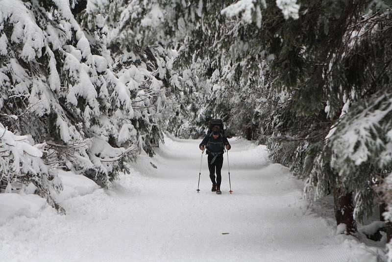 Čtyřiatřicet účastníků absolvovalo Sněžka Sherpa Cup, při kterém vynosili zásoby na Českou Poštovnu na nejvyšší českou horu. Muži táhli třicet kilo, ženy o polovinu méně. 