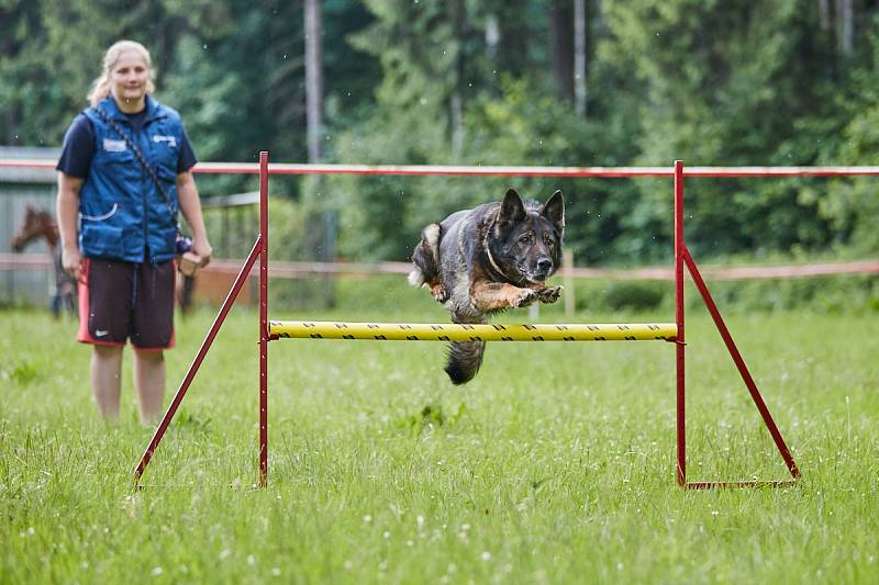 Městská policie slaví 25 let. Například v trutnovském útulku.