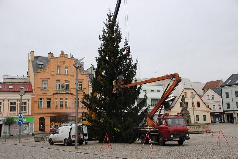 Od čtvrtka 17. listopadu stojí na náměstí T. G. Masaryka ve Dvoře Králové nad Labem vánoční strom.