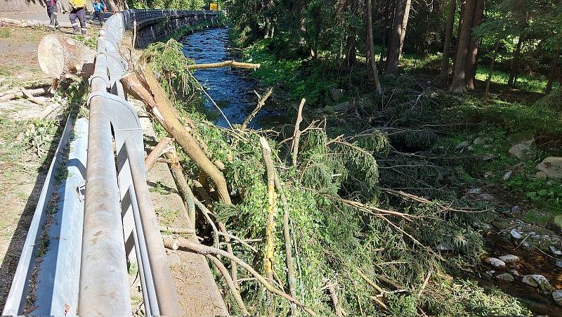 Na silnici mezi Velkou Úpou a Horní Malou Úpou na Trutnovsku zemřeli v neděli odpoledne tři lidé poté, co na jejich auto spadl strom