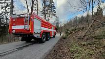 U Přehrady Les Království zasahovali ve čtvrtek hasiči kvůli spadlému stromu.