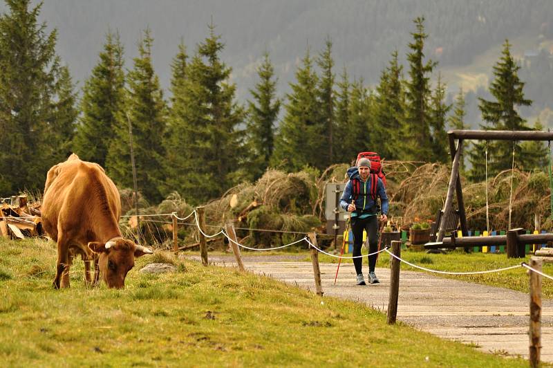 Deset nadšených spotrovců se v sobotu sešlo ve Velké Úpě, aby si na záda naložili pětadvacetikilový náklad a v co nejrychlejším čase ho donesli do Poštovny na Sněžce. Přesně tak, jak se zásoby na dominantu Krkonoš dopravovaly v minulosti. Sedmikilometrovo