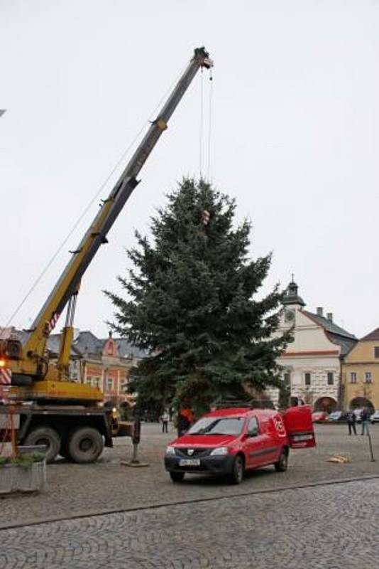 Náměstí T. G. Masaryka ve Dvoře Králové nad Labem zdobí od pátku vánoční smrk.