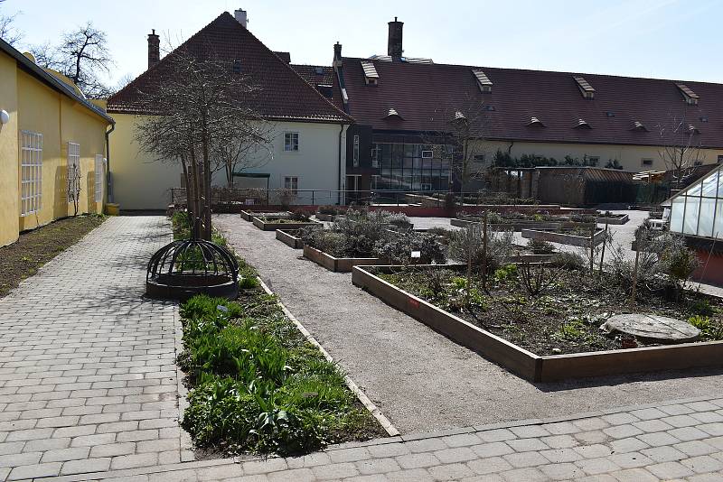Přípravy na sezonu v bylinkové zahradě Domova sv. Josefa v Žirči jsou v plném proudu.