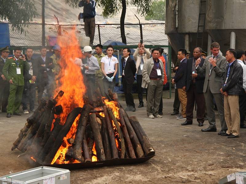 Likvidace slonoviny a rohoviny nosorožců ve Vietnamu.