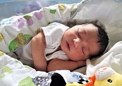 Tadeáš Hanulák se narodil 4. října ve 23.41 hodin rodičům Jitce a Pavlovi. Vážil 3,48 kg a měřil 48 cm. Rodina má domov ve Vrchlabí.