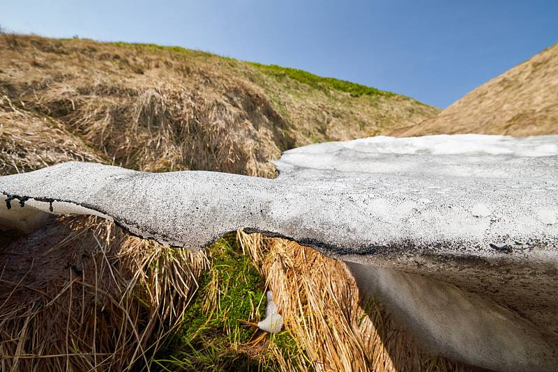 Krkonošská příroda, nafocená 1. července 2019.