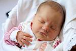 Anička Feixová se narodila 10. května v 9 hodin a 31 minut mamince Daně a tatínkovi Romanovi. Vážila 3,34 kilogramu a měřila 50 centimetrů. Doma v Hořicích se na miminko těší sestřička Romča.