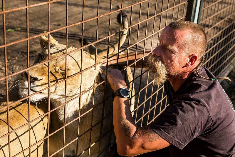 Nejpozoruhodnějším místem je středověký hrad v Černé Vodě u Žacléře, který si tam postavil Martin Zeman. Jeho hrad není veřejně přístupný, nicméně občas tam nějaké návštěvy zabrousí. Pumu, lva, lvice a nově i tygra chová soukromý majitel.