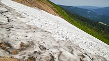 Krkonošská příroda, nafocená 1. července 2019.