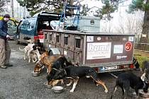 NOVÁ VÝZVA v Rusku je pro Radka Havrdu a jeho psí spřežení dalším impulzem v nepovedené zimě.