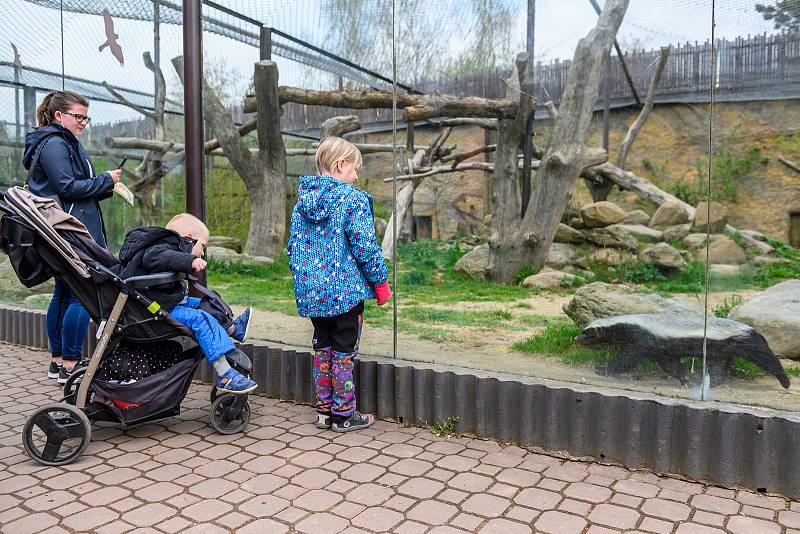 V sobotu dorazilo do Safari Parku Dvůr Králové 3374 lidí.