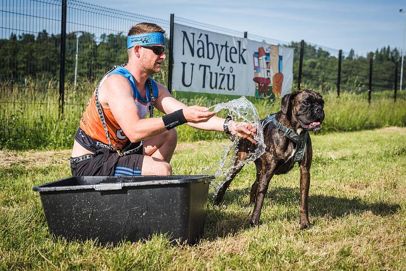 Krkonošský canicross se konal v sobotu ve Vrchlabí.