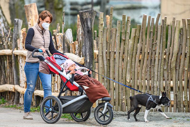 Do Safari Parku Dvůr Králové přišly první den po otevření zoologických zahrad čtyři stovky návštěvníků.