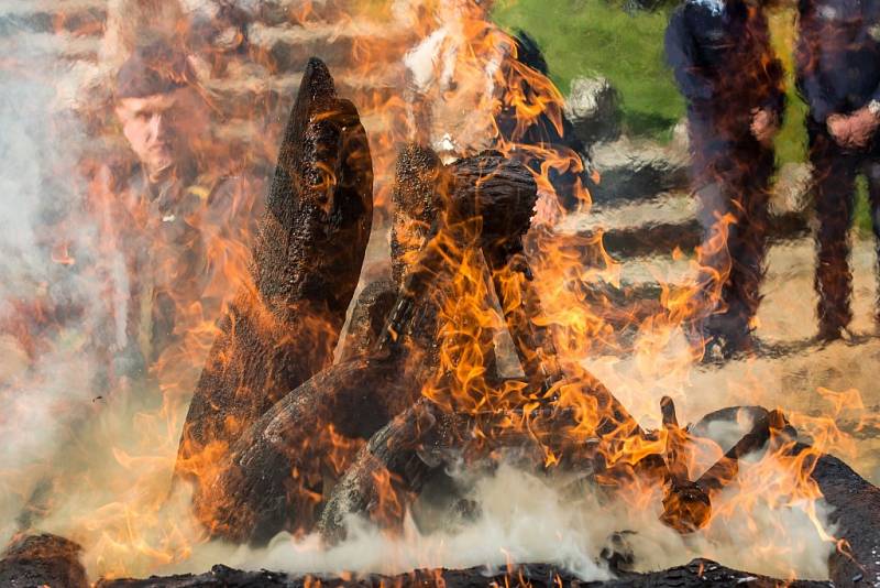 Zoologická zahrada ve Dvoře Králové spálila 19. září na protest proti nelegálnímu obchodu se zvířaty a pytláctví 33 kilogramů nosorožčí rohoviny.