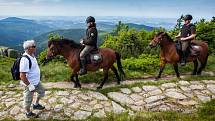 Strážci na koních v létě pomáhají turistům