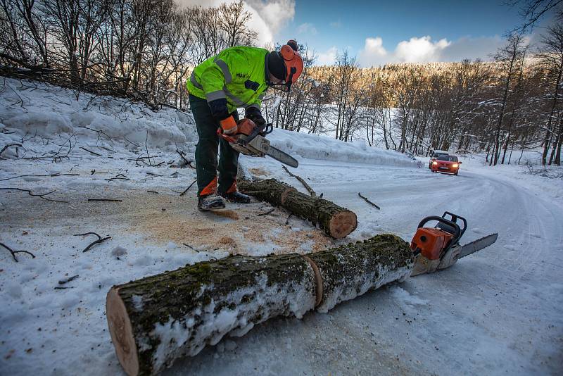 Vítr a těžký sníh koplikuje dopravu a život na horách. Popadané stromy uzavřely v pondělí cestu mezi Hoffmanovými boudami a Černým Dolem v Krkonoších