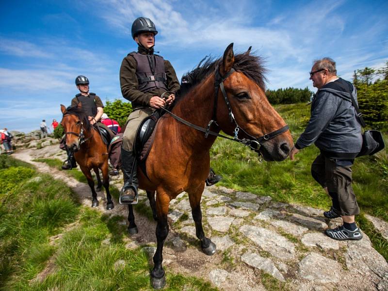 Strážci na koních v létě pomáhají turistům